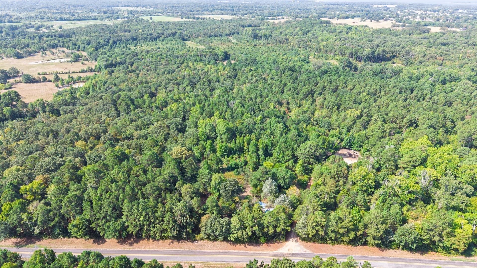 14 acres in Wood County - photo 9