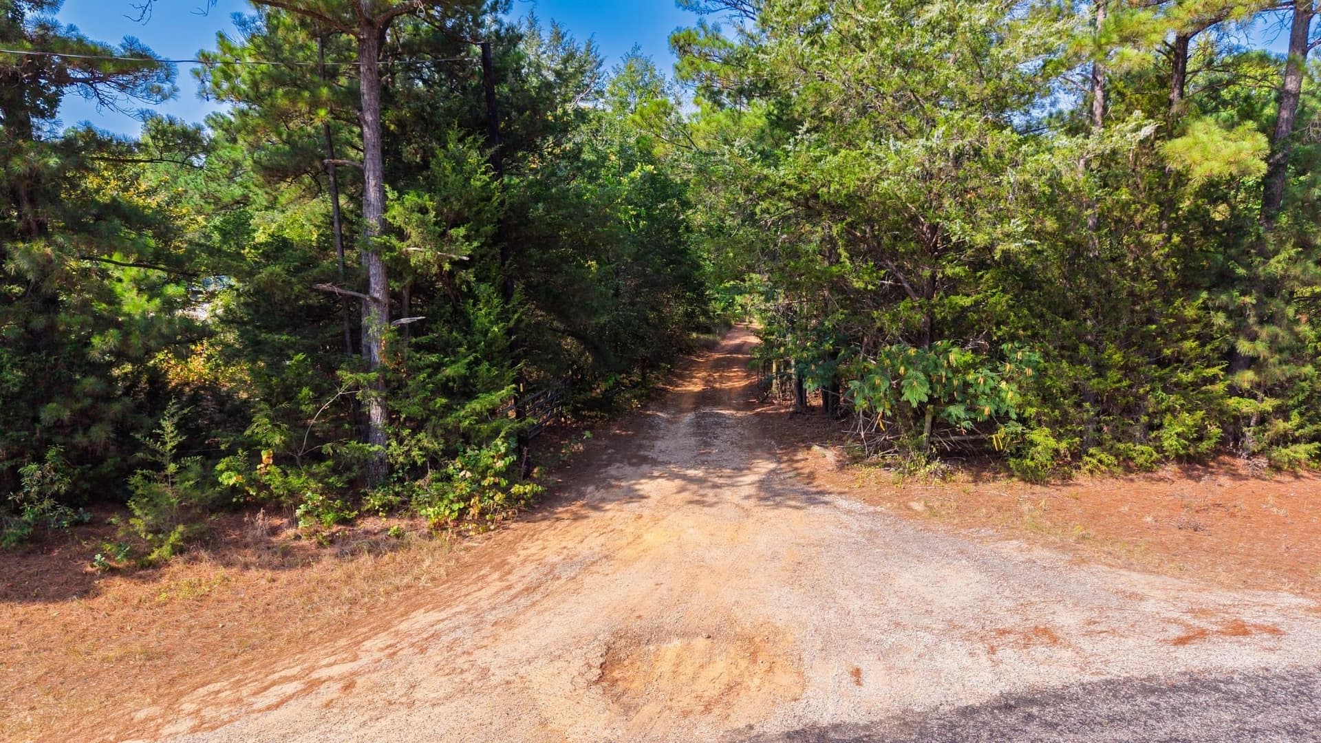 14 acres in Wood County - photo 13