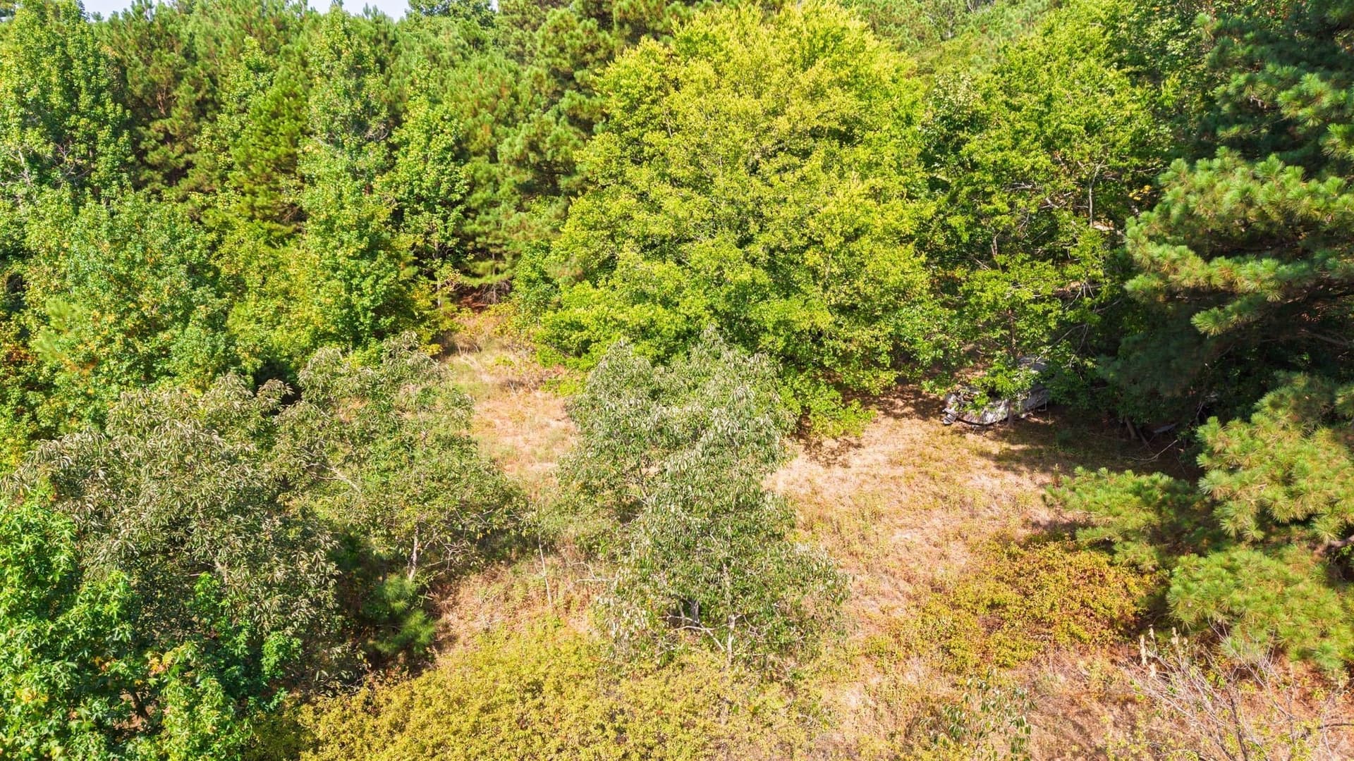 14 acres in Wood County - photo 10