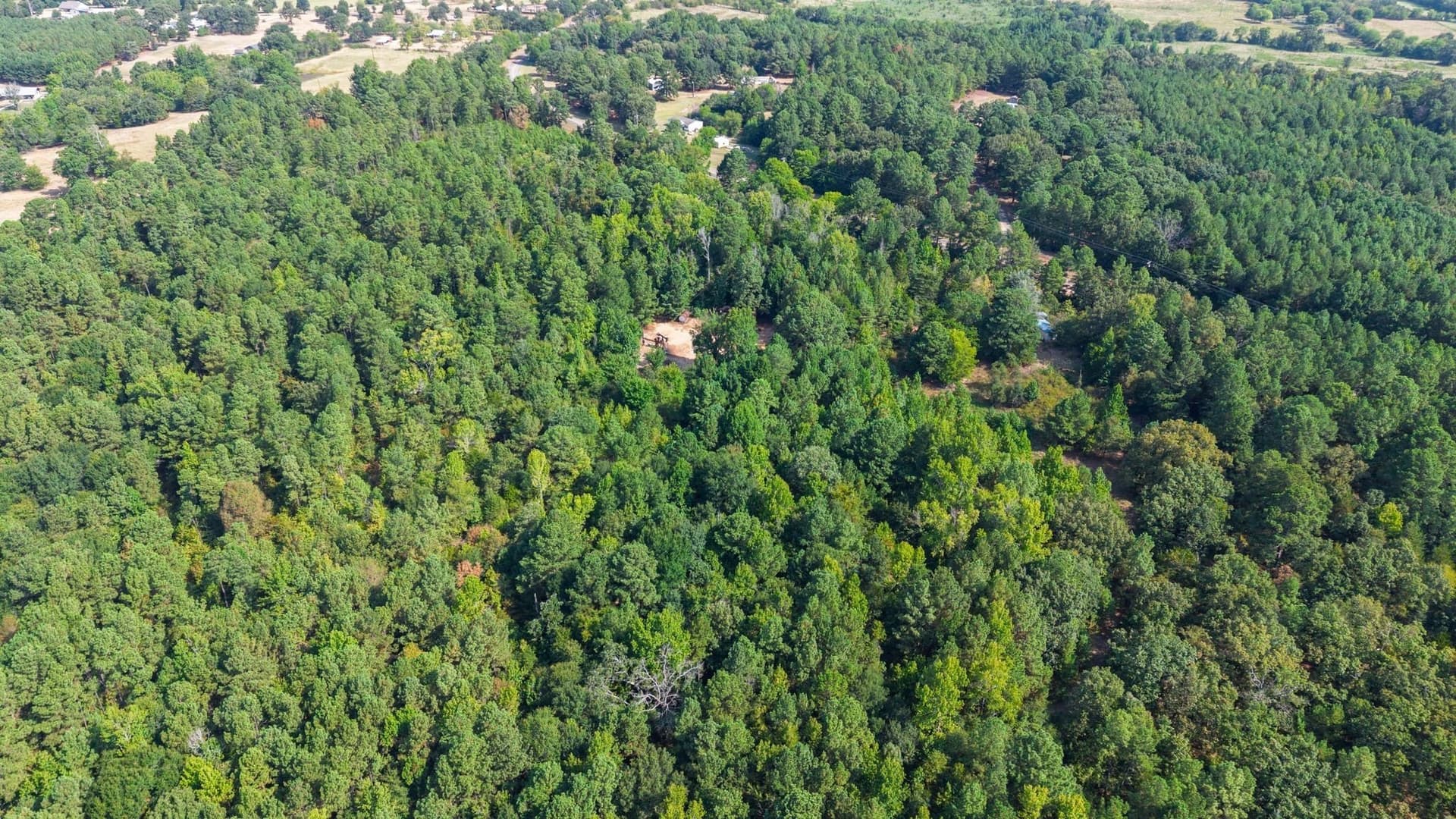 14 acres in Wood County - photo 8