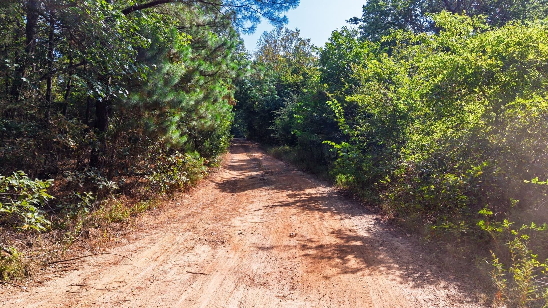 14 acres in Wood County - photo 12