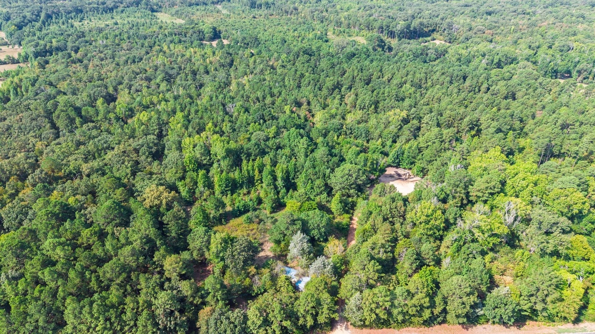 14 acres in Wood County - photo 6