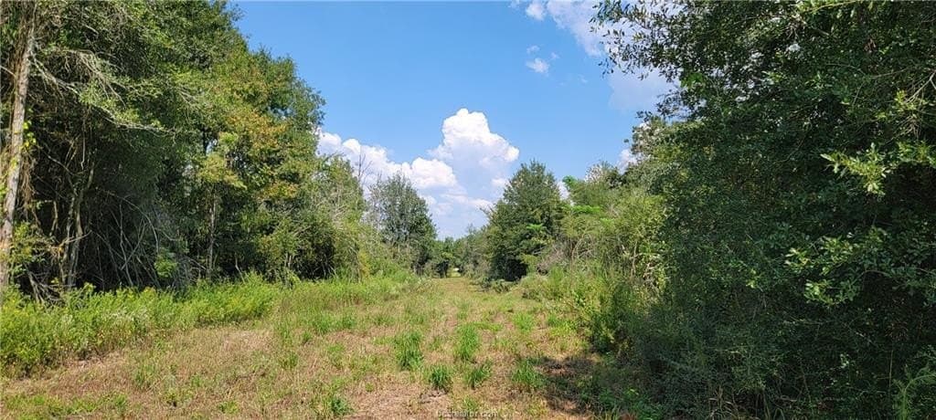 27 acres in Robertson County - photo 24