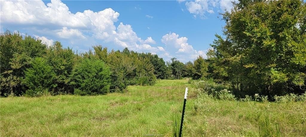 27 acres in Robertson County - photo 17