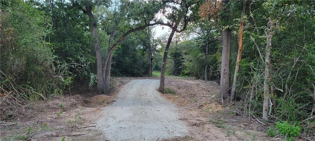 27 acres in Robertson County - photo 10
