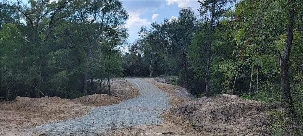 27 acres in Robertson County - photo 11