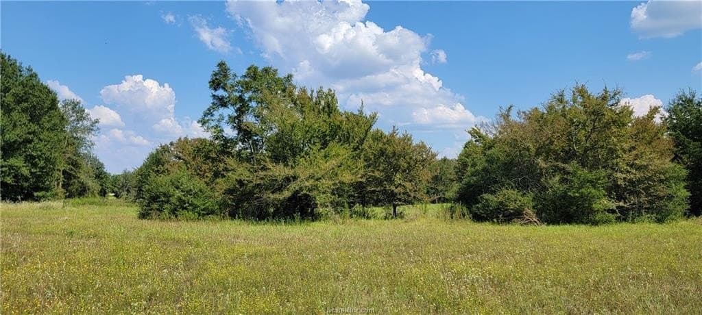 27 acres in Robertson County - photo 21