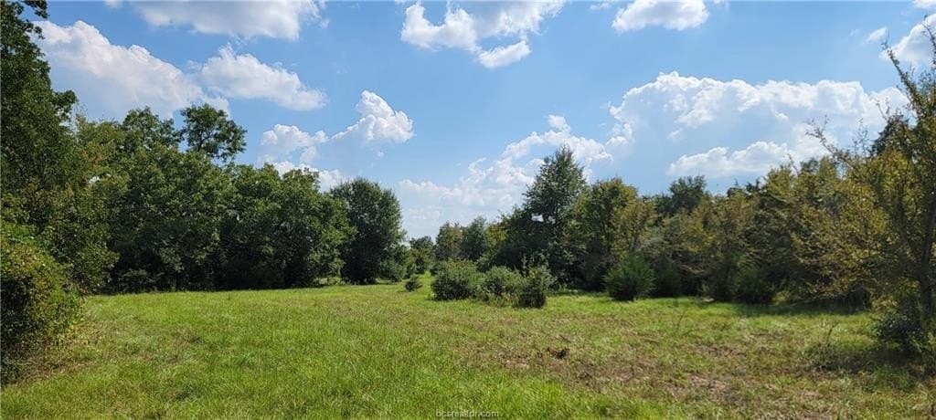 27 acres in Robertson County - photo 23