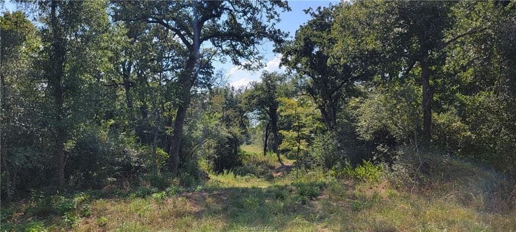 27 acres in Robertson County - photo 28