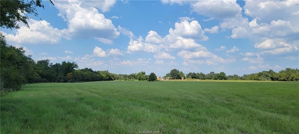 27 acres in Robertson County - photo 7