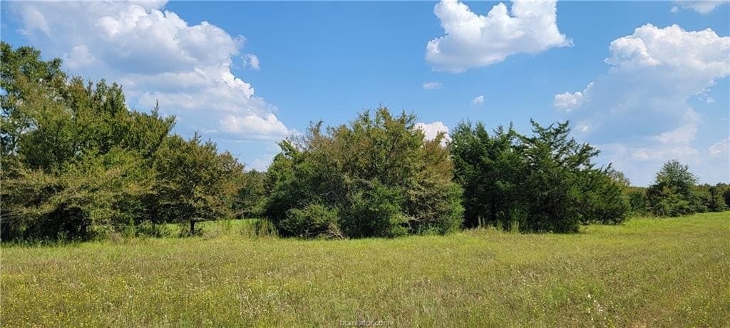 27 acres in Robertson County - photo 22