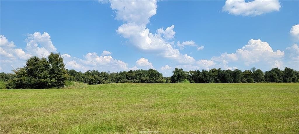 27 acres in Robertson County - photo 29