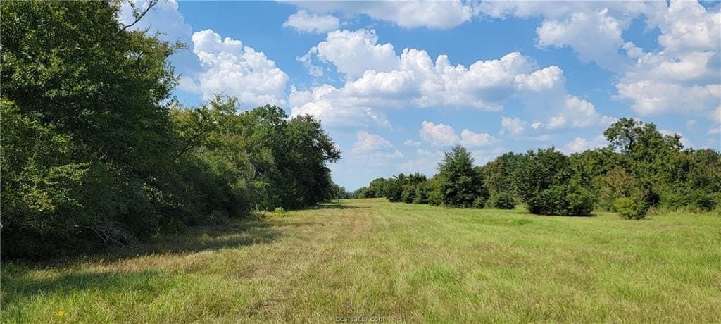 27 acres in Robertson County - photo 18