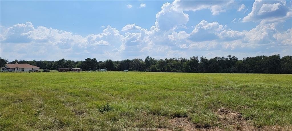 27 acres in Robertson County gallery image 3