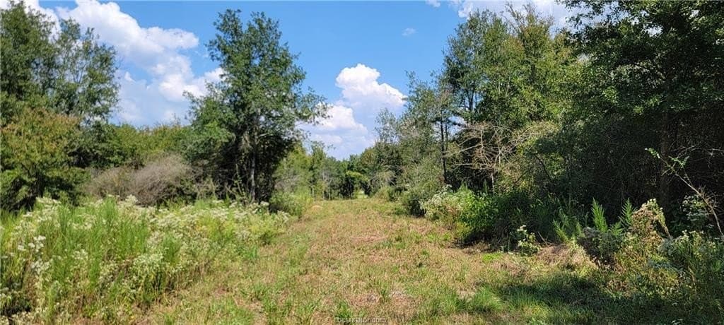 27 acres in Robertson County - photo 25