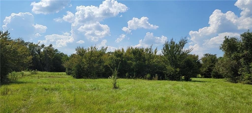 27 acres in Robertson County - photo 16