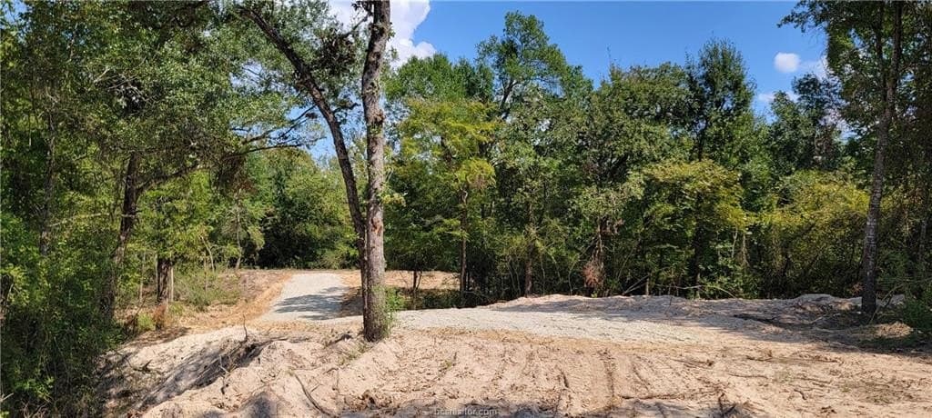 27 acres in Robertson County - photo 12