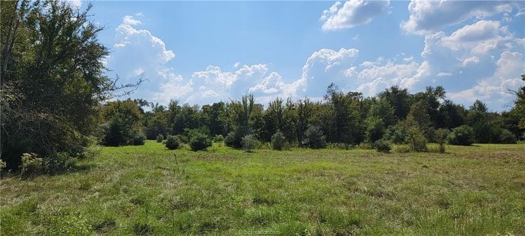 27 acres in Robertson County - photo 14