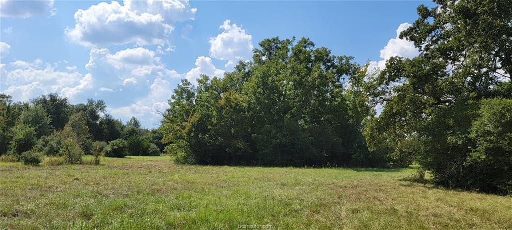 27 acres in Robertson County - photo 13