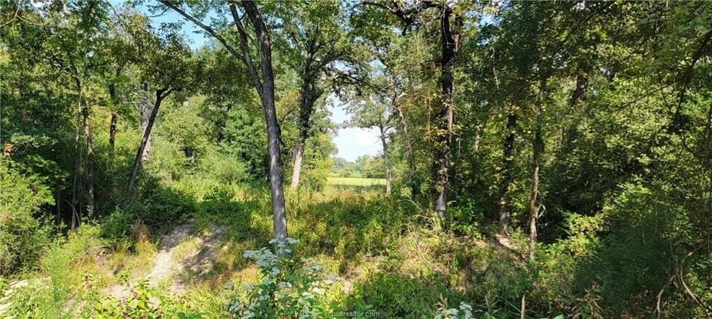 27 acres in Robertson County - photo 27
