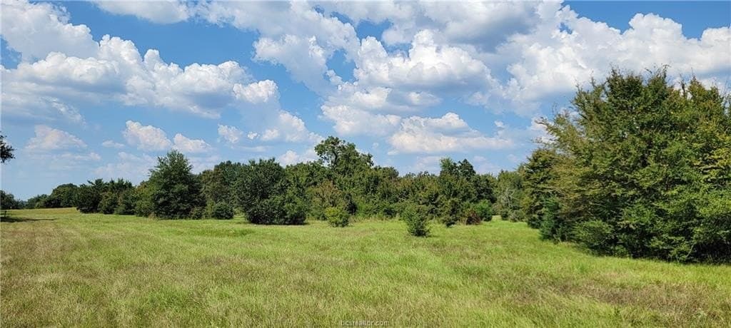 27 acres in Robertson County - photo 19