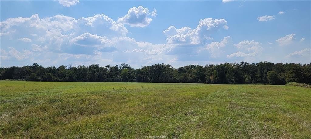 27 acres in Robertson County - photo 31