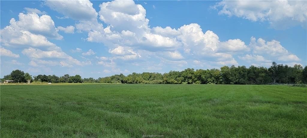 27 acres in Robertson County - photo 8