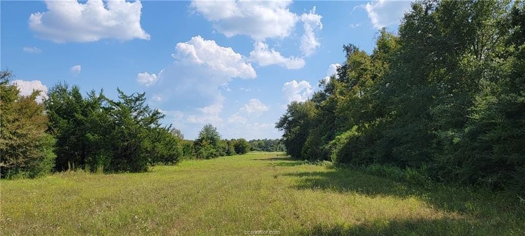 27 acres in Robertson County - photo 20