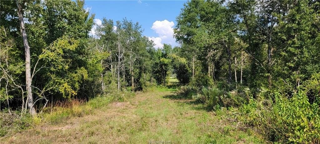 27 acres in Robertson County - photo 26