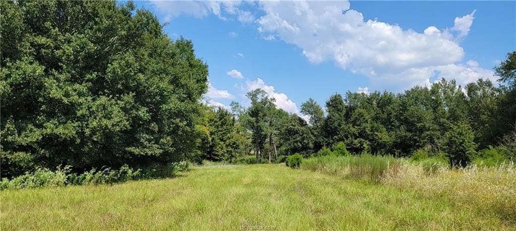 27 acres in Robertson County - photo 15