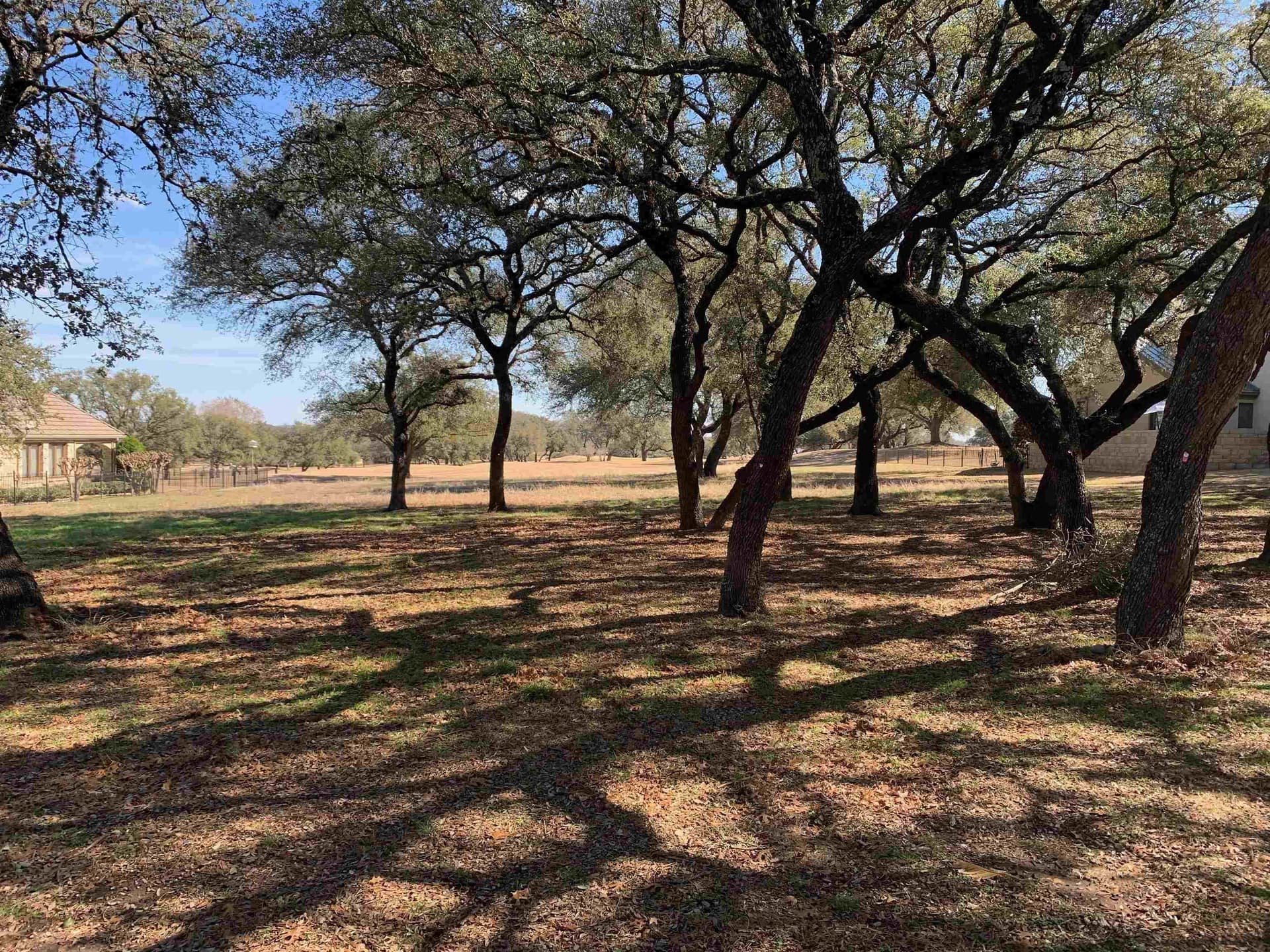 0.74 acres in Travis County - photo 7