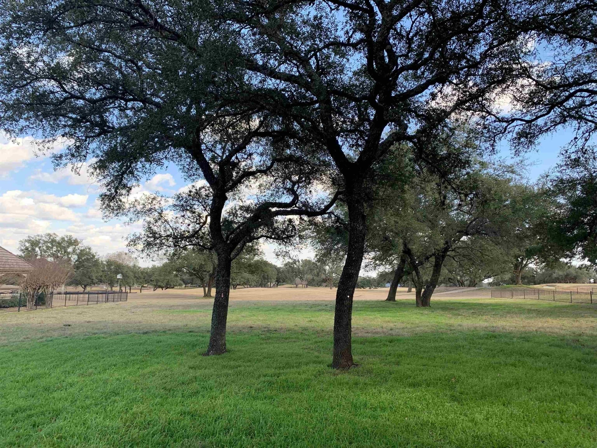 0.74 acres in Travis County gallery image 4