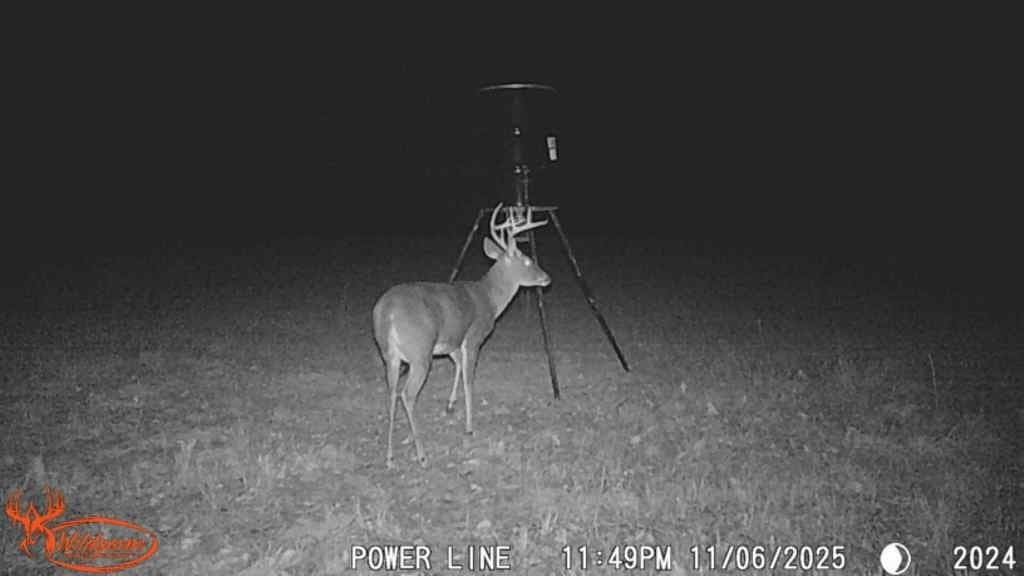 26 acres in Hopkins County - photo 10