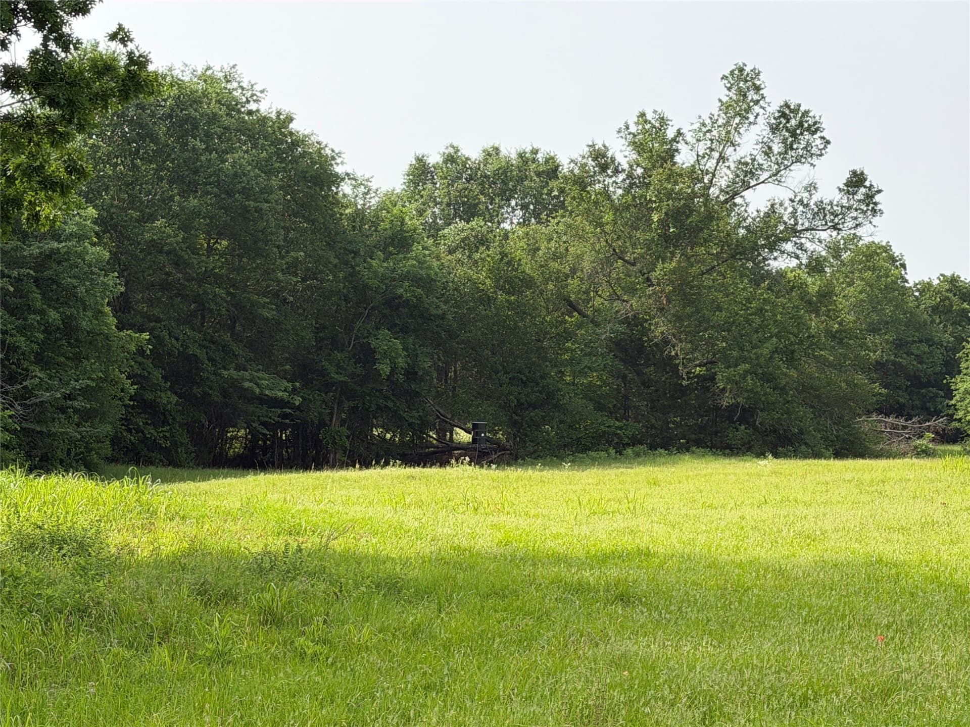 26 acres in Hopkins County - photo 3