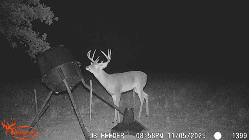 26 acres in Hopkins County - photo 11