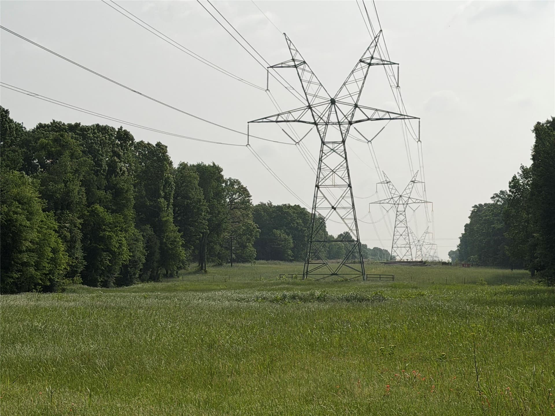 26 acres in Hopkins County - photo 18