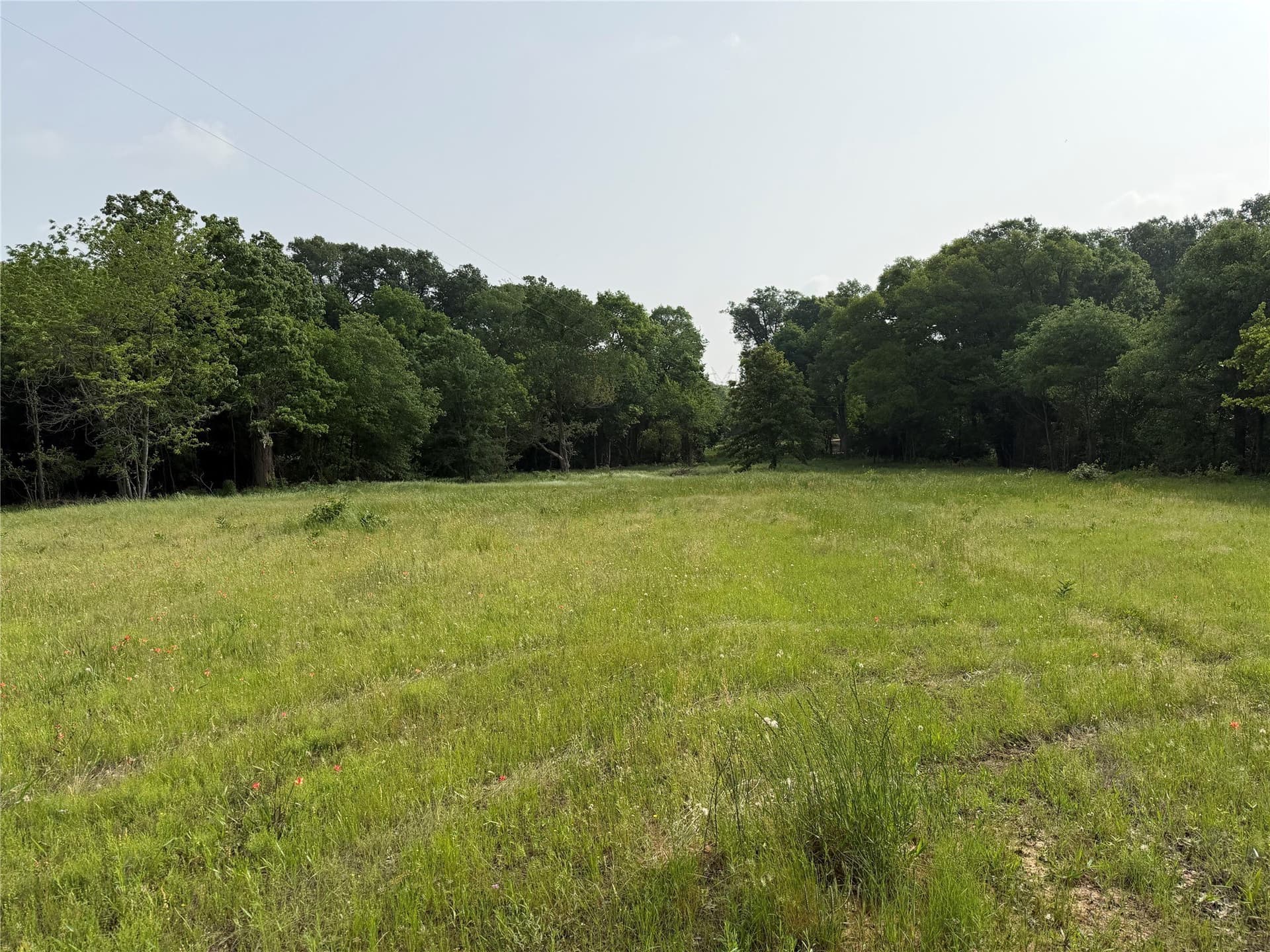 26 acres in Hopkins County - photo 9