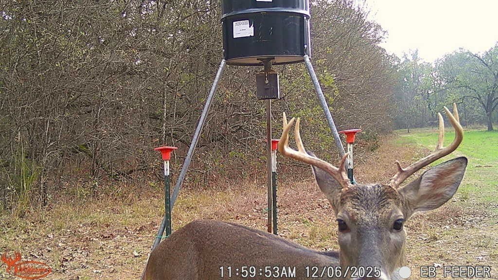 26 acres in Hopkins County - photo 14