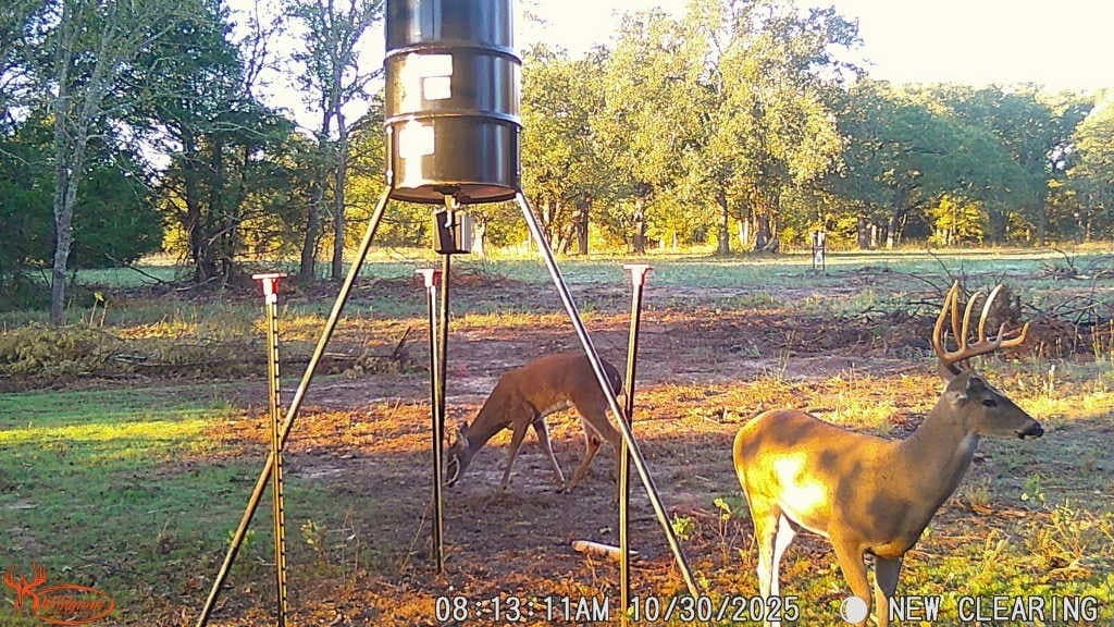 26 acres in Hopkins County - photo 13