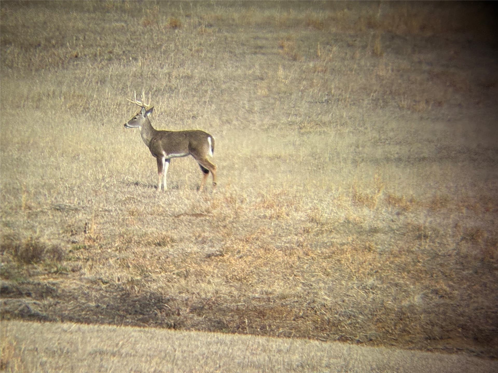 26 acres in Hopkins County - photo 15