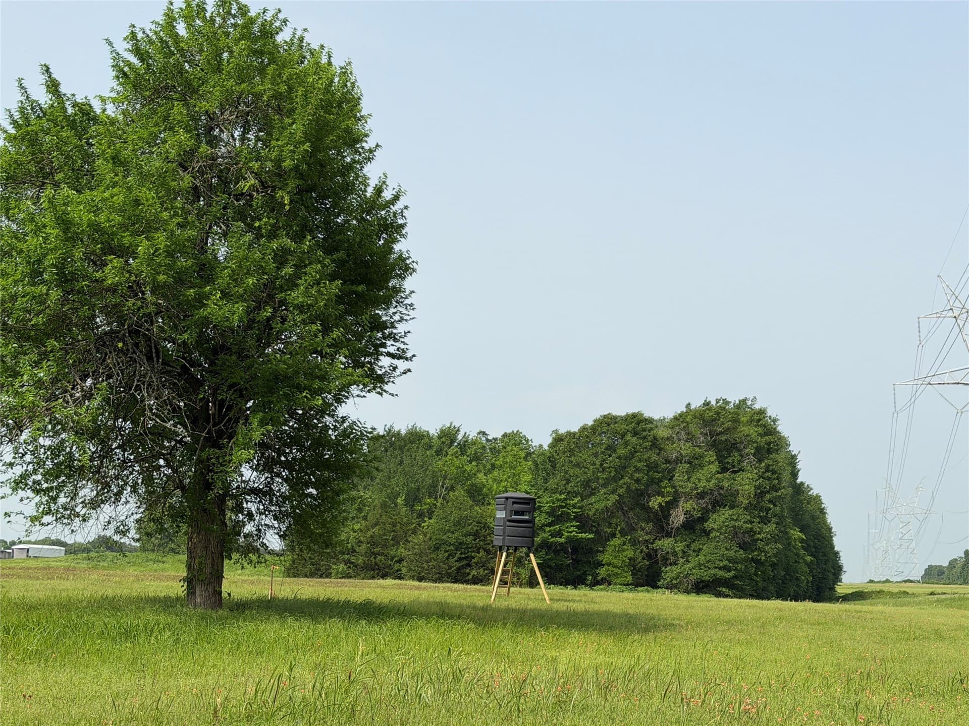 26 acres in Hopkins County - photo 4