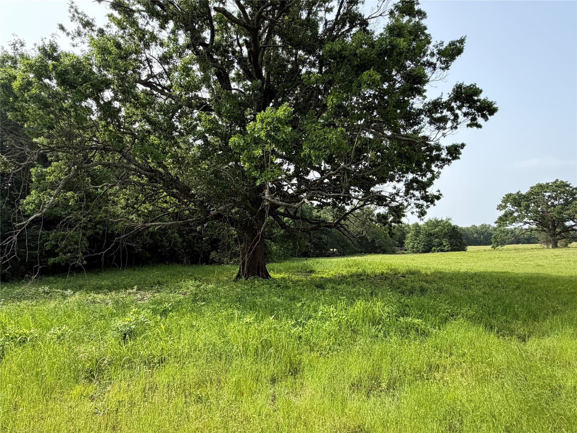 26 acres in Hopkins County - photo 7