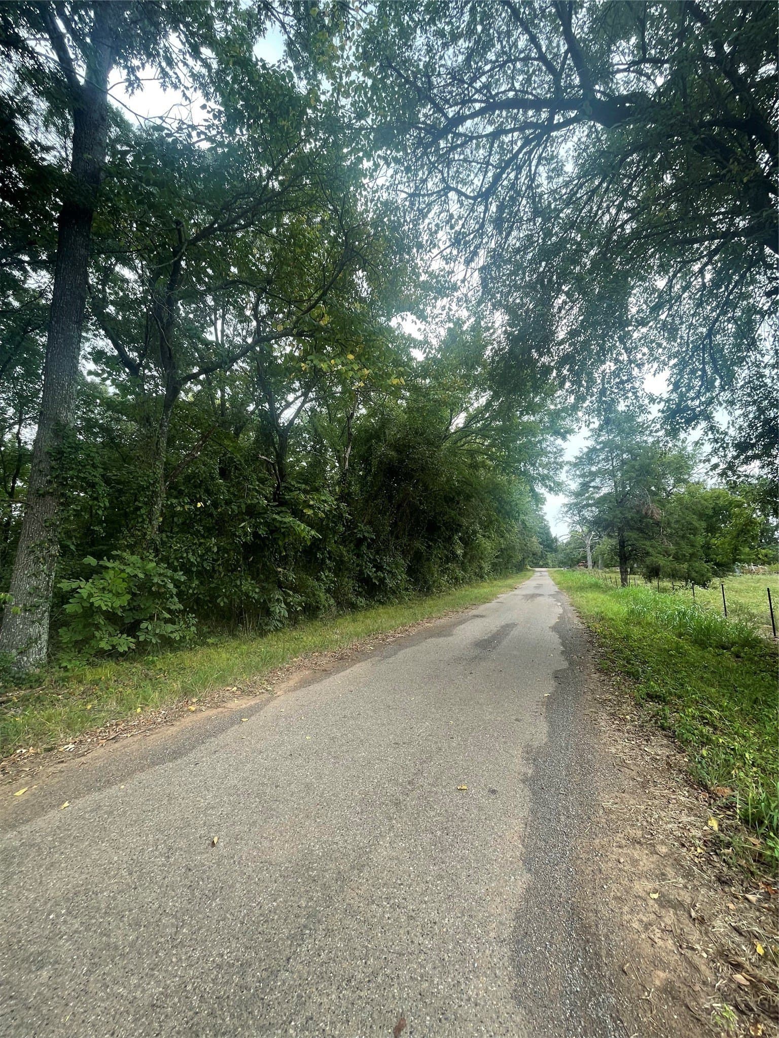 16.57 acres in Titus County - photo 14