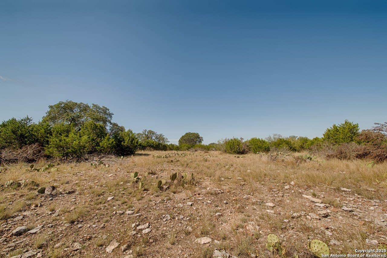 20 acres in Kimble County gallery image 4