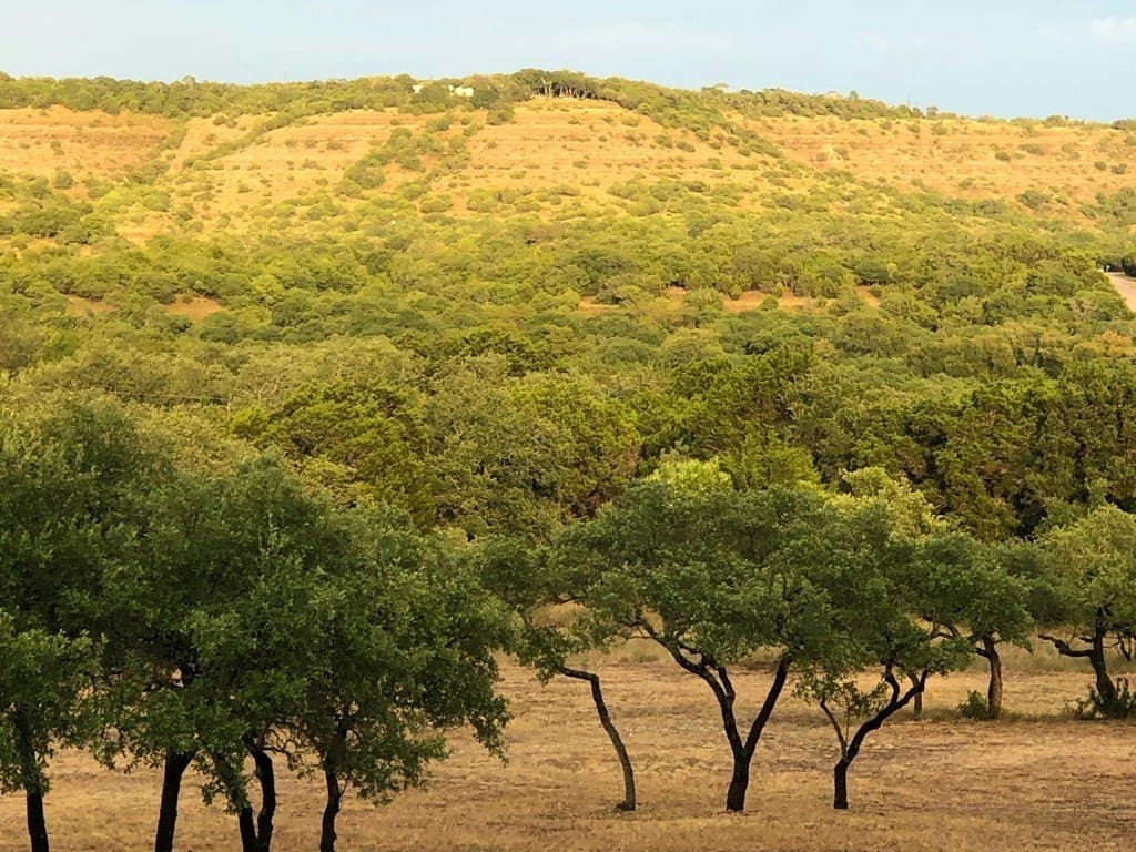 17.76 acres in Hays County gallery image 3