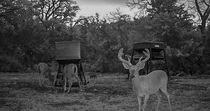 351.23 acres in Coryell County - photo 40