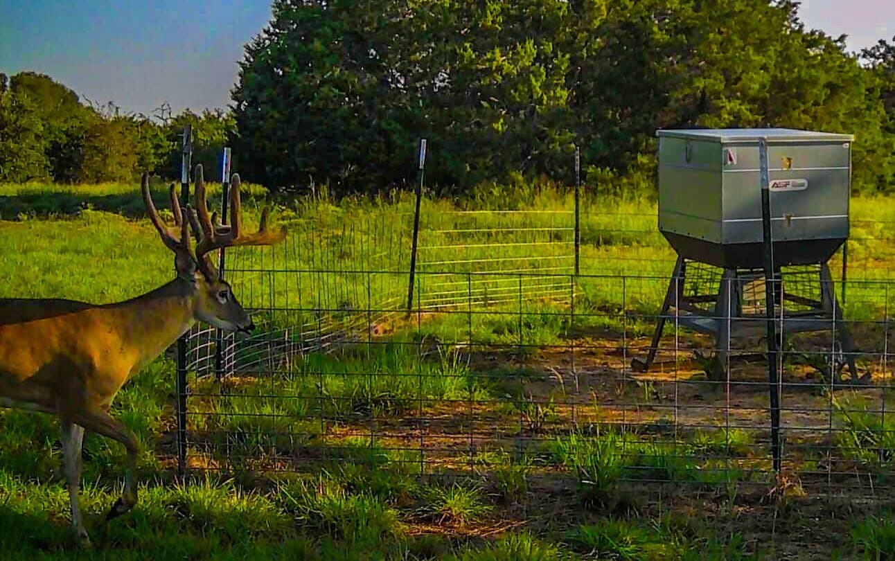 351.23 acres in Coryell County - photo 6