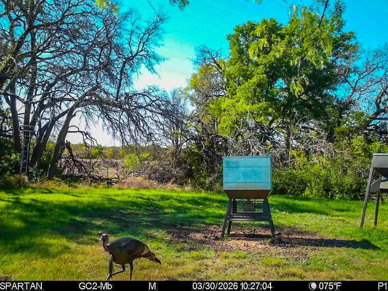 351.23 acres in Coryell County - photo 37