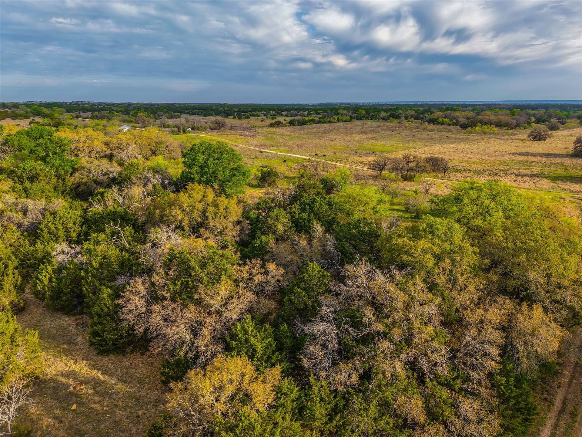 351.23 acres in Coryell County - photo 29
