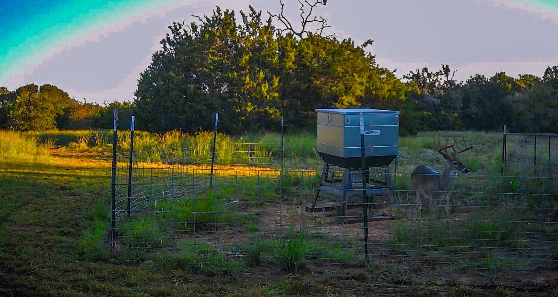 351.23 acres in Coryell County - photo 35